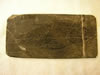 Fossilized Fish