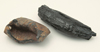 Ammonite
